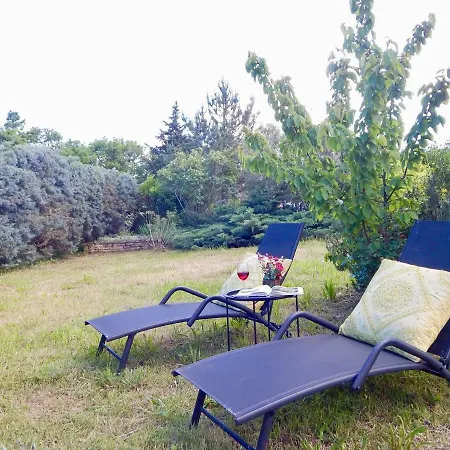 Holiday House With Spacious Backyard And Grill / Pet Friendly بيت للعطل