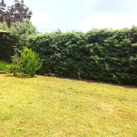 Holiday House With Spacious Backyard And Grill / Pet Friendly 펜션 *